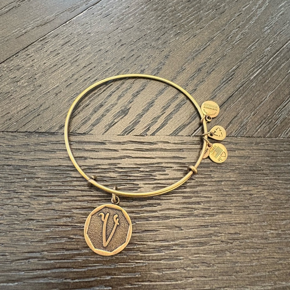 Alex And Ani zodiac Capricorn Charm Expandable Wire Bangle Bracelet
